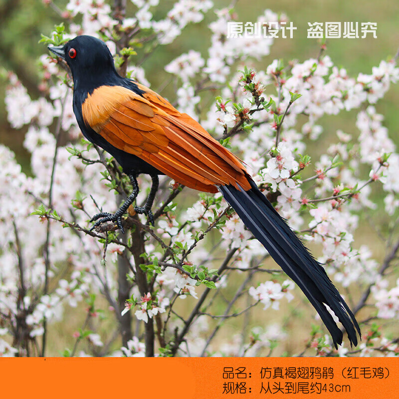 喏雅珘新款仿真红毛鸡模型羽毛鸟假鸟摆件假媒摄影展馆教学道具手工