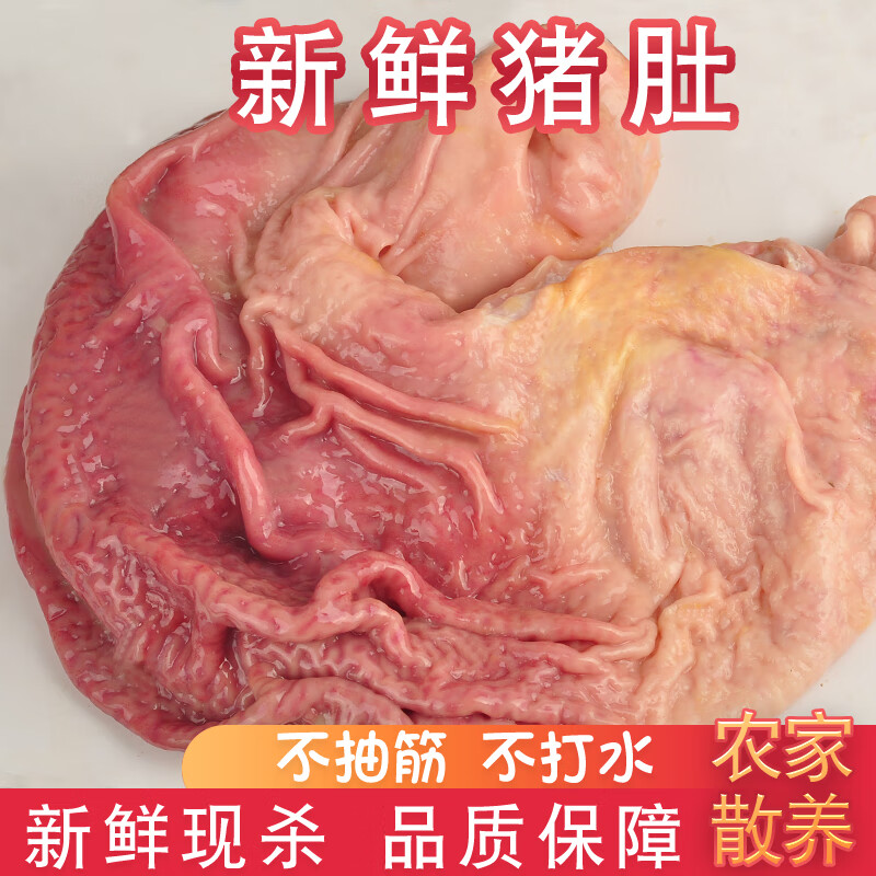 七与海渔 农家散养土猪肚新鲜猪内脏生猪胃黑猪肚 猪肉生鲜 新鲜猪