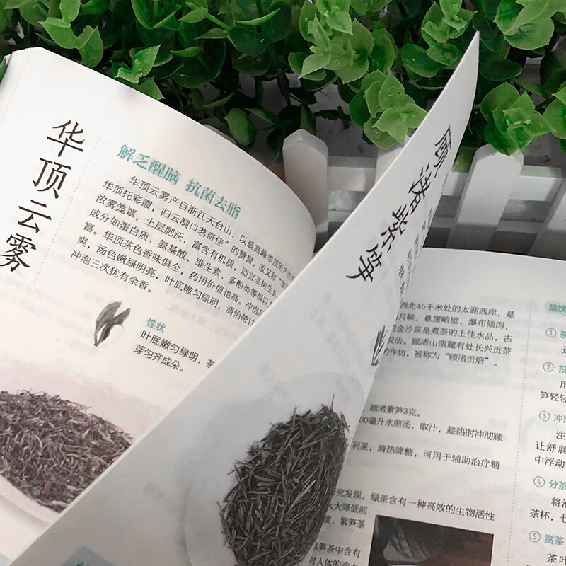 图说茶道