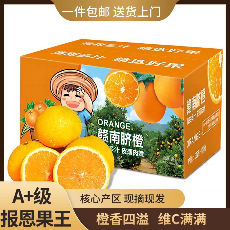 橙子历史价格查询网站|橙子价格走势图
