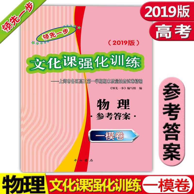 正版现货 2019版领先一步 高考一模卷 物理(参考答案) 高考物理一模卷 文化课强化训练上海市各区