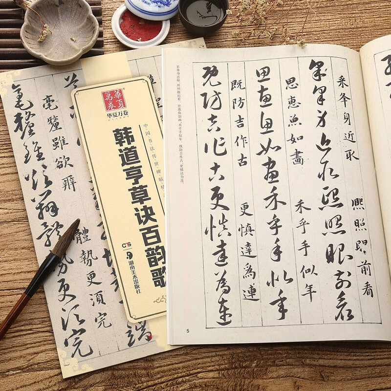 韩道亨草诀百韵歌 中国书法传世碑帖精品 临摹楷书草书书法毛笔字帖临古帖墨迹附简体旁注 湖南美术出版社