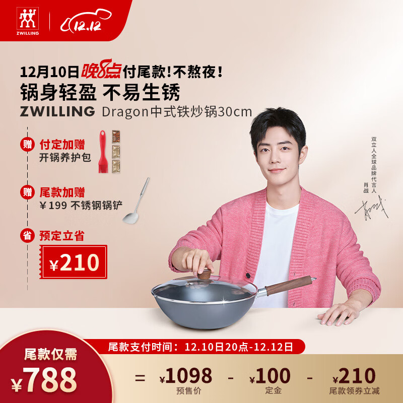 双立人(ZWILLING)炒锅铁锅厨具炒菜锅锅具精铁锅无涂层Dragon龙炒锅【肖战同款】 铁炒锅30cm