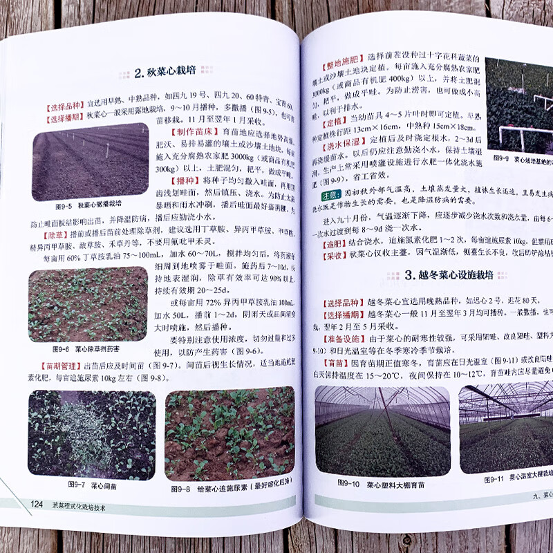 蔬菜程式化栽培技术(第2版)