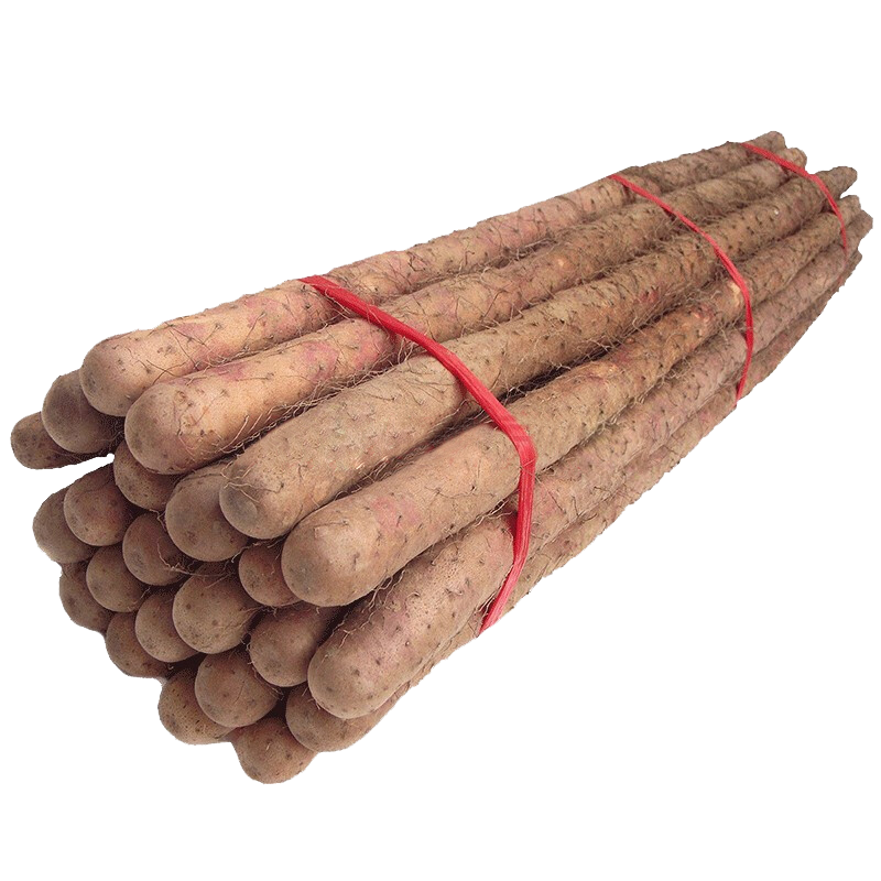 ���ڲ�������̩��Դ��������ɽҩ ɳ�����˻�ɽҩ���Ͻ��������ز�����ɽҩ ɳ������ɽҩ����5��40-60cm 21.9Ԫ