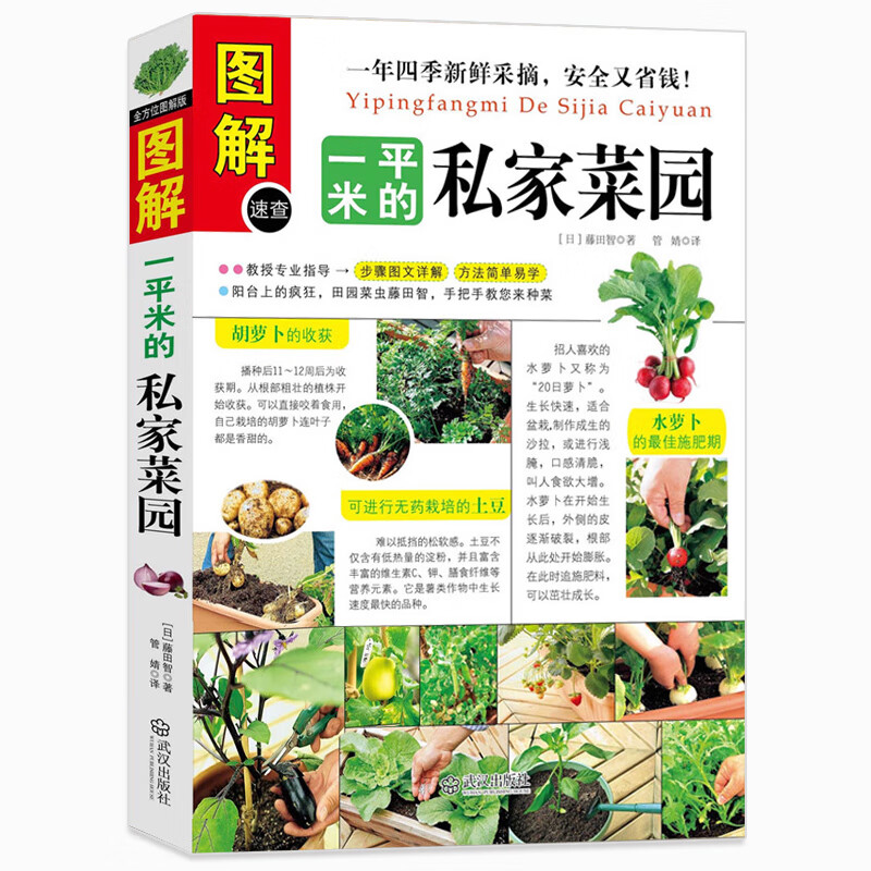 图解一平米的私家菜园 阳台种菜蔬菜种植技术 西红柿黄瓜茄子青菜辣椒草莓等果蔬栽培手把手教学