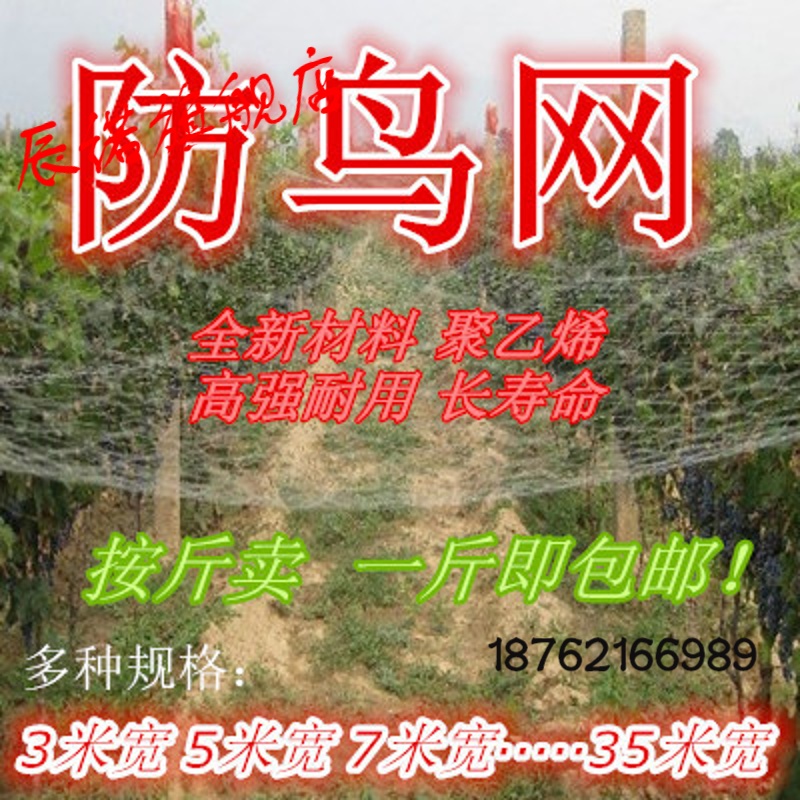 昊兰诺防鸟网葡萄防鸟网樱桃果树果园防鸟网池塘谷子枸杞防鸟网尼龙网