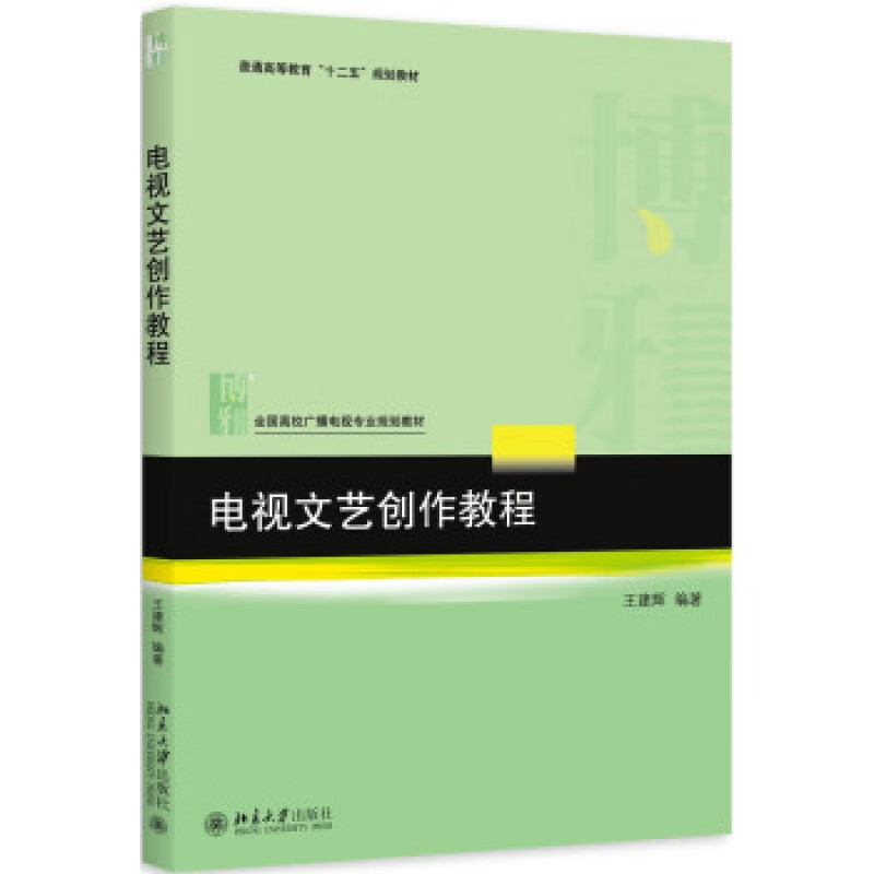 正版电视文艺创作教程北京大学出版社