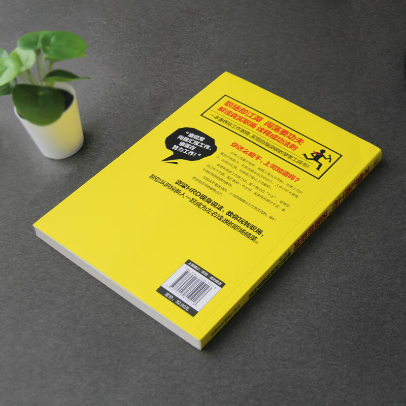 不懂汇报工作，还敢拼职场：最省力的职场做事秘笈（职业生涯管理  职场说话技巧）职场心理学详情图