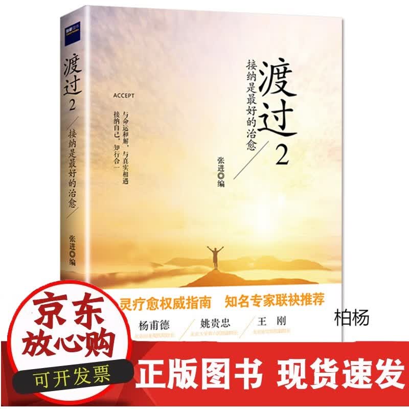 速发 渡过2：接纳是好的治愈