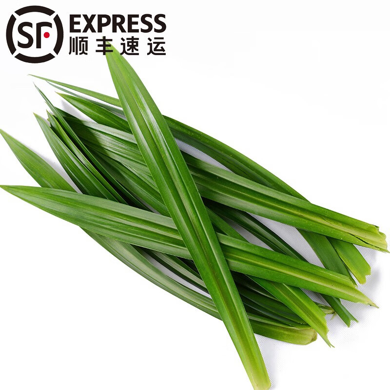 兮柔新鲜斑斓叶 香兰叶班兰叶甜品饮料糯米饭西餐调料新鲜香料蔬菜