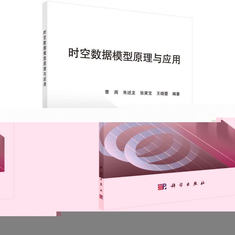 时空数据模型原理与应用