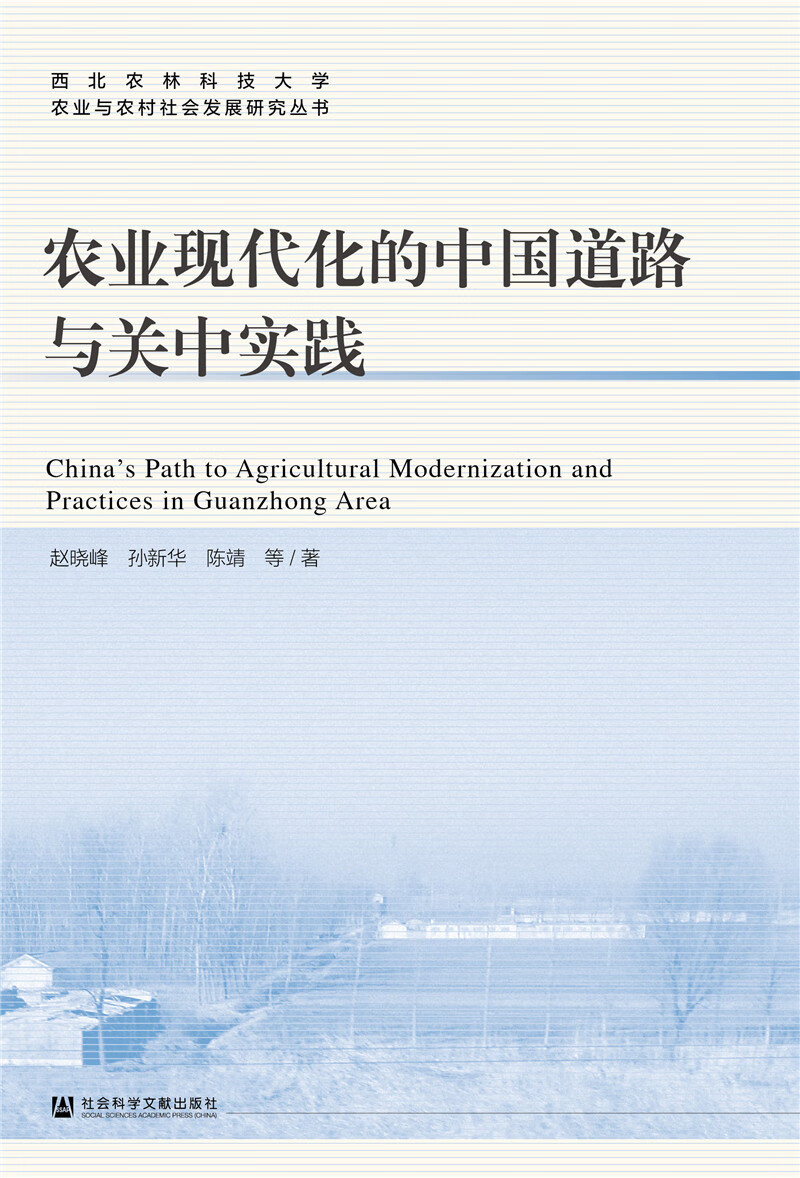 农业现代化的中国道路与关中实践