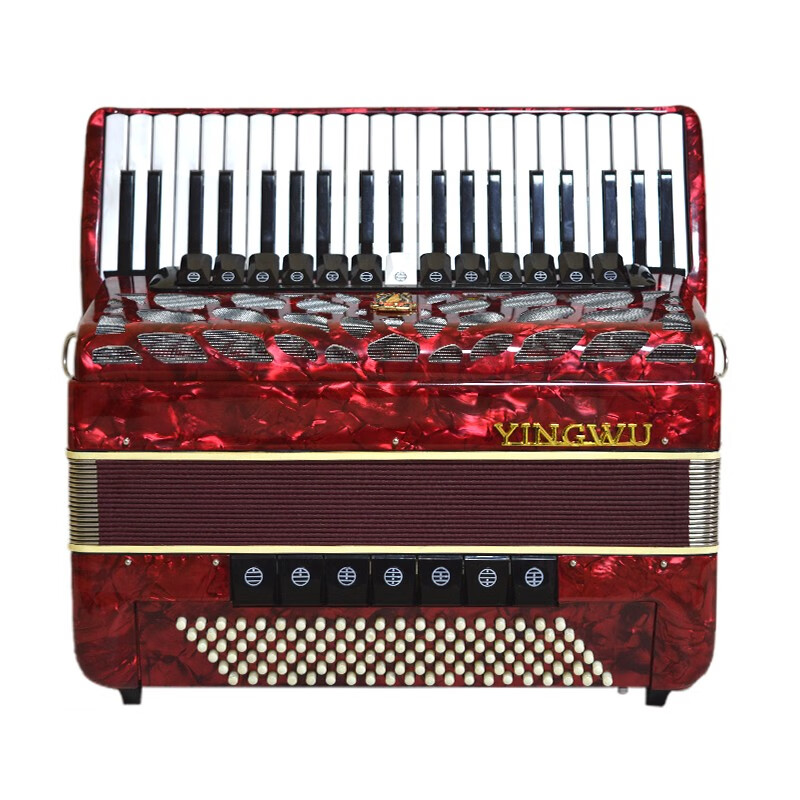 鹦鹉 mini迷你120bs4排簧 9968手风琴41键60bs34键823成人初学考级