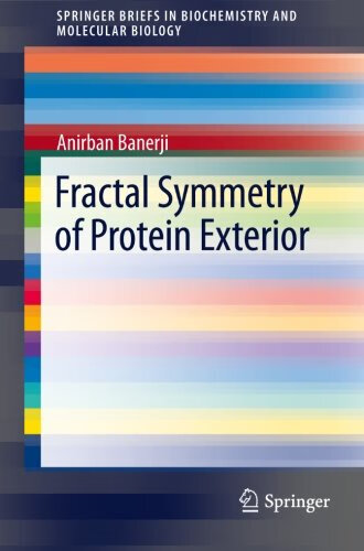 预订 fractal symmetry of protein exterior
