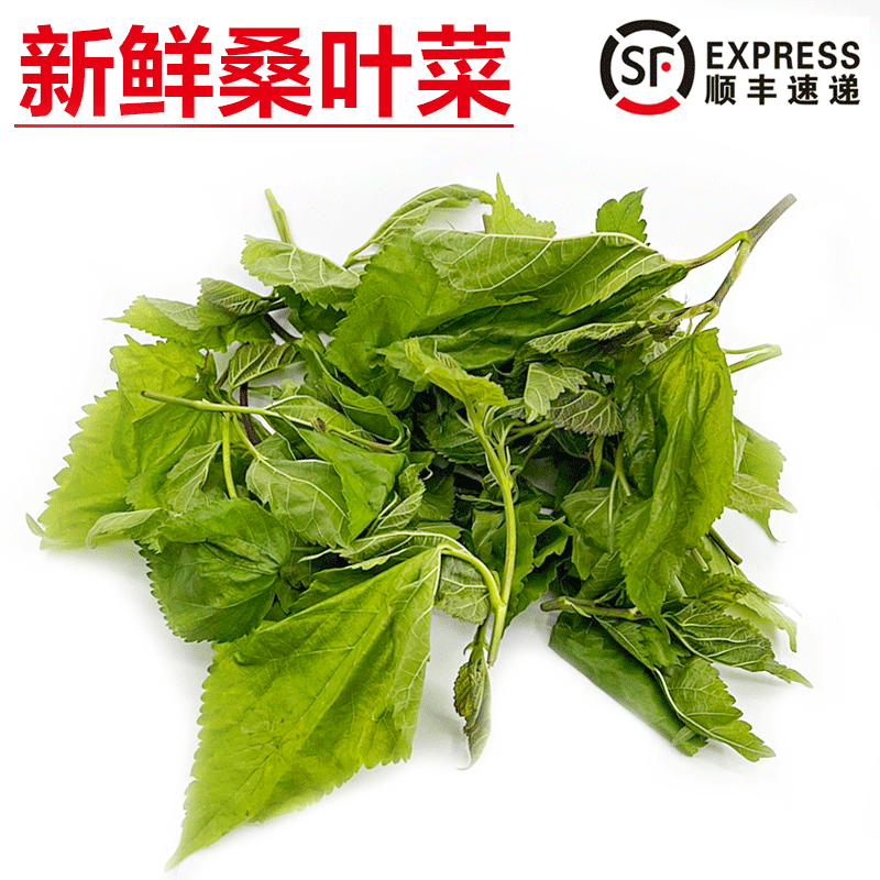 旷古农业新鲜桑叶菜桑芽菜嫩桑叶菜桑上汤农家蔬菜 250g