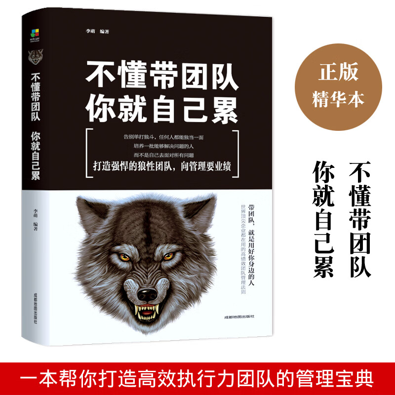 不懂带团队你就自己累 团队管理企业管理书籍畅销书 员工培训心理学营销销售团队说话技巧人力资源公司马云管