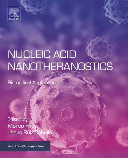 预售 按需印刷 nucleic acid nanotheranostics