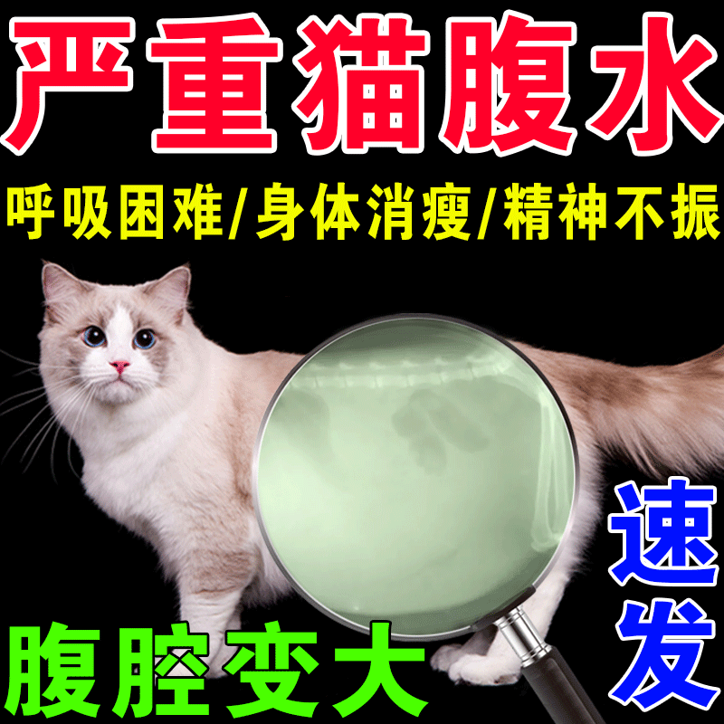 猫咪传腹口服免疫蛋白猫腹水传腹消腹水干湿性猫咪传染性腹膜炎肾衰竭