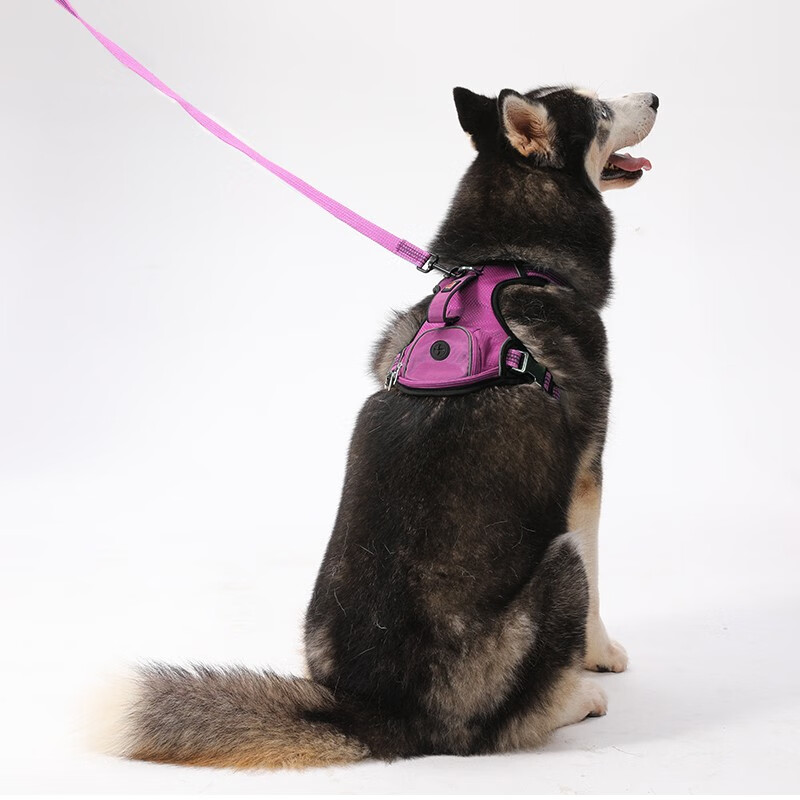 派优比 遛狗绳子狗链子栓狗带中型犬狗狗胸背带宠物用品 背心式牵引绳
