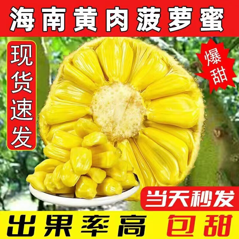 保蓉生鲜水果俱乐部【果园直发】大果菠萝蜜季节性热带新鲜水果 15-19斤 新鲜菠萝蜜怎么看?