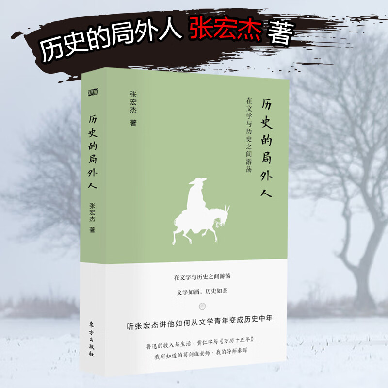 历史的局外人（平装全1册）定价42|热卖历史趣味读本|张宏杰
