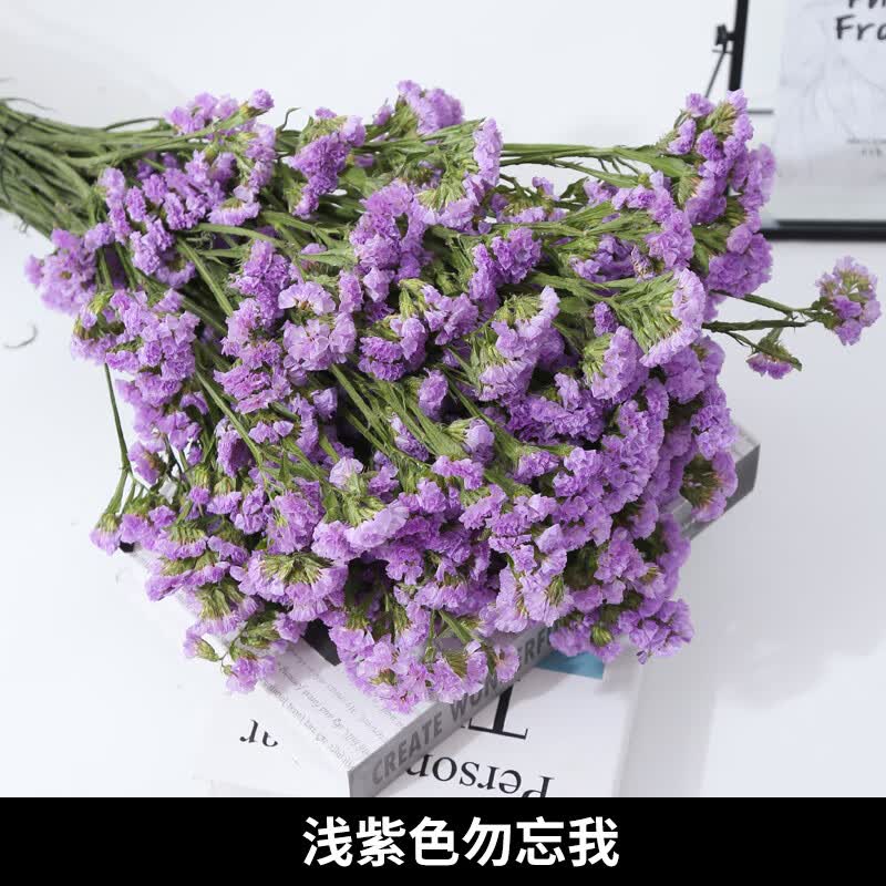 大束勿忘我天然真花云南鲜花摆设客厅家居装饰摆件 浅紫色勿忘我 2斤