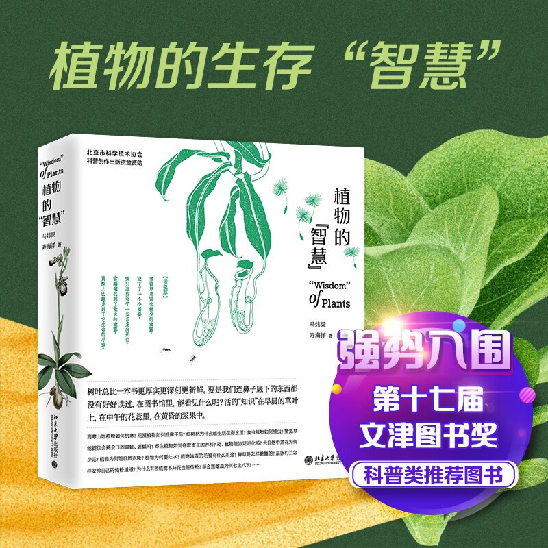 植物的