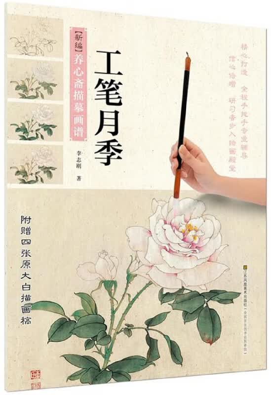 工笔月季/新编养心斋描摹画谱