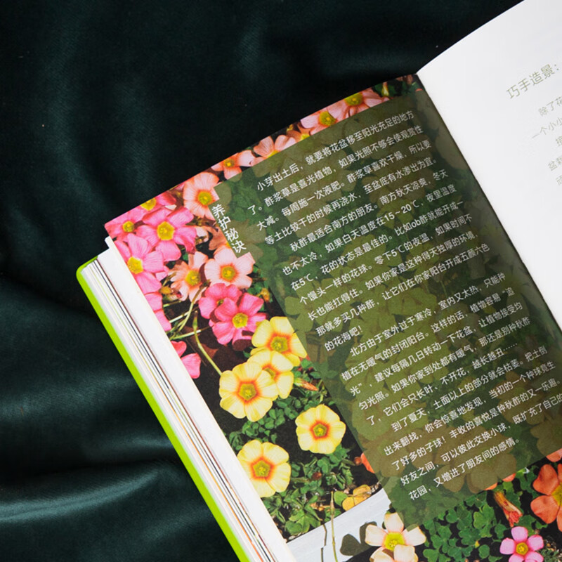 (包邮)中国国家地理海错图笔记系列、掌中花园、我的昆虫学入门书:无穷小亮讲昆虫 博物君狐主任张辰亮科普读物图书 新版(赠Q版小亮便利贴)掌中花园