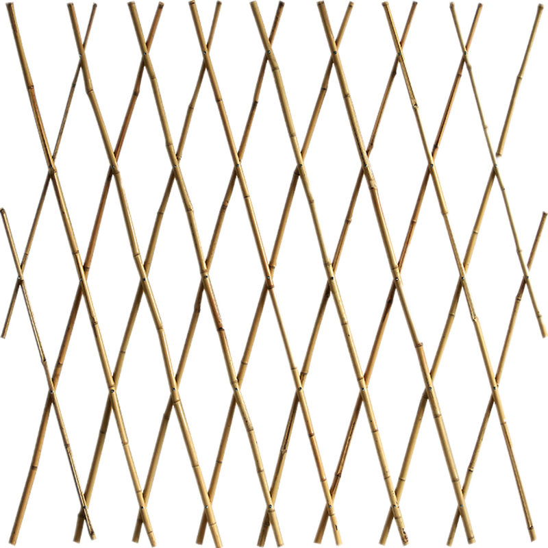 ֮ ΧդװͥԺϻ԰Ͳ԰ټũ彨 200*250cmͨ 84.95Ԫ