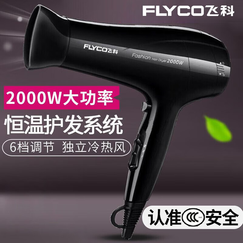 ڲɿƣFLYCO紵ôͲٸɺȷѧ۵ʵ紵Ͳ FH6231ڡ6 2000W 58.9Ԫ
