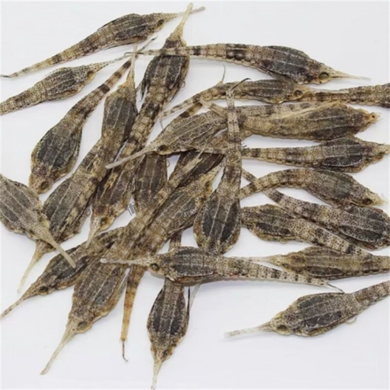 食芳溢腌海雀 海麻雀 海燕子煲汤泡酒专用滋补方便食品 10克