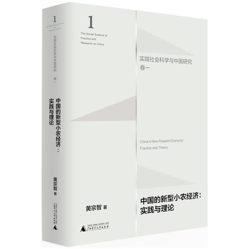大学问·中国的新型小农经济：实践与理论（实践社会科学与中国研究·卷一）