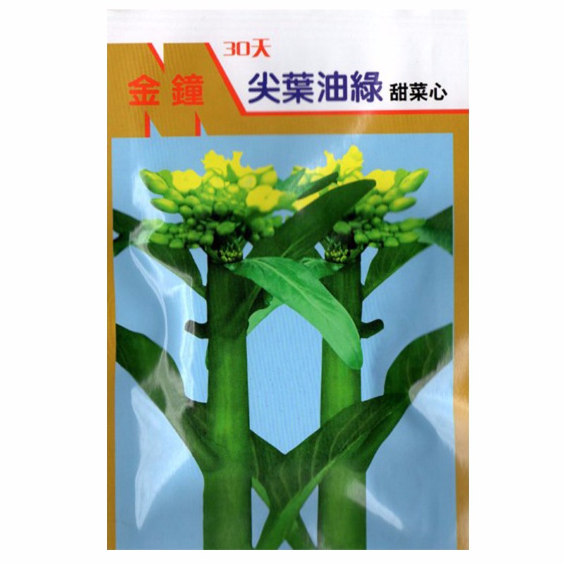 种菜记菜心种子30天速生早熟尖叶油绿甜菜心生长快30天春季秋冬阳台