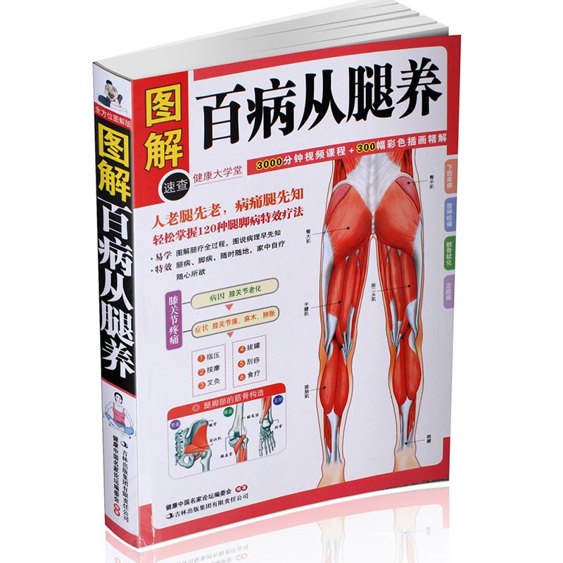 图解百病从腿养 腰病速效自疗 医学疾病预防 图解百病从腿养