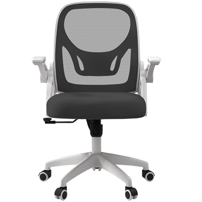 奥伦福特 电脑椅办公椅职员网椅转椅会议椅人体工学椅子家用电脑椅子靠背椅休闲椅培训椅学生学习椅 GX-白框黑网