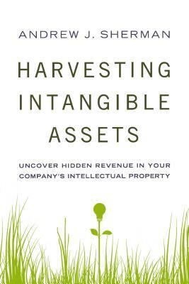 预订 harvesting intangible assets: uncover hidden revenue in