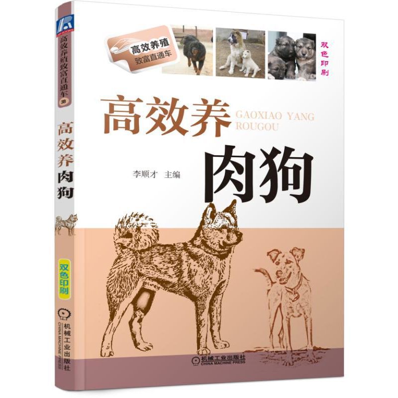 [正版图书]高效养肉狗