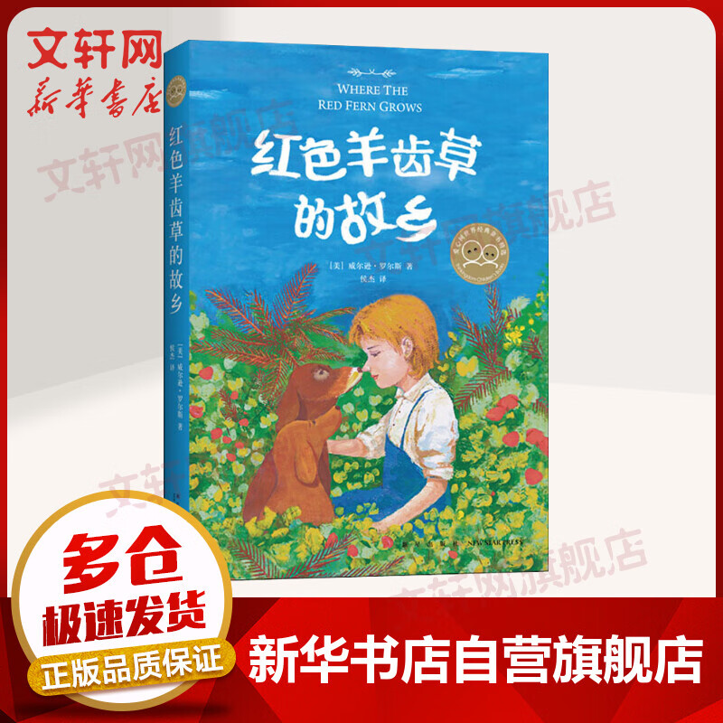 红色羊齿草的故乡 爱心树童书 儿童读物