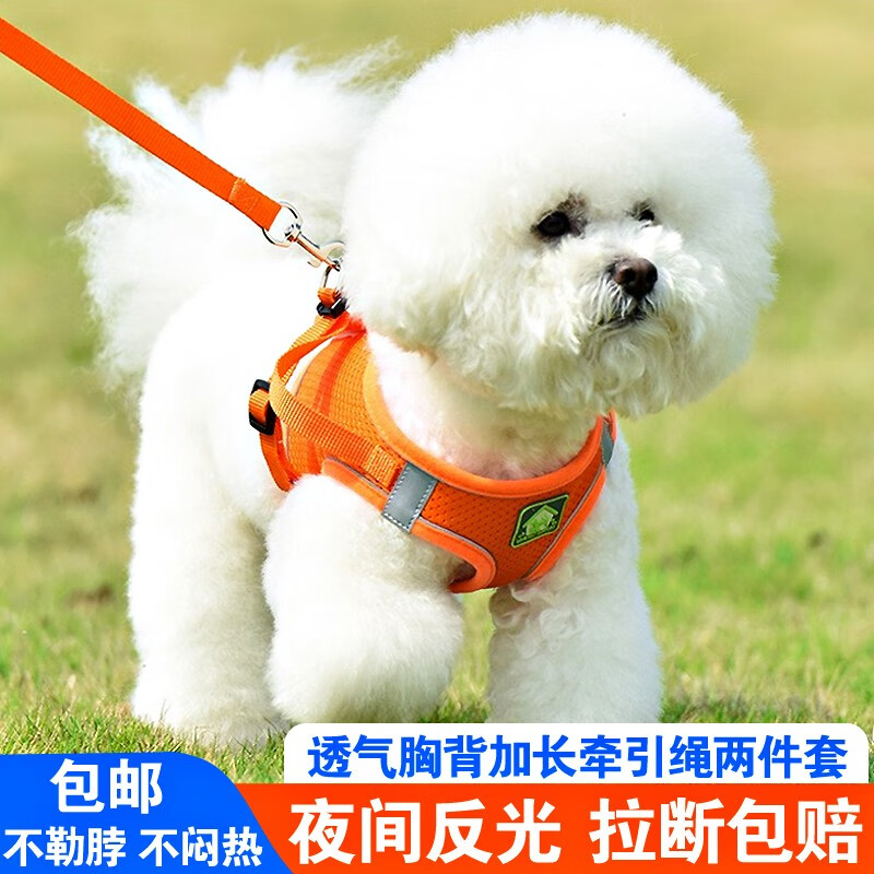 派乐特牵引绳/胸背带：舒适、安全、耐用的宠物必备装备|牵引绳胸背带历史价格查询网址
