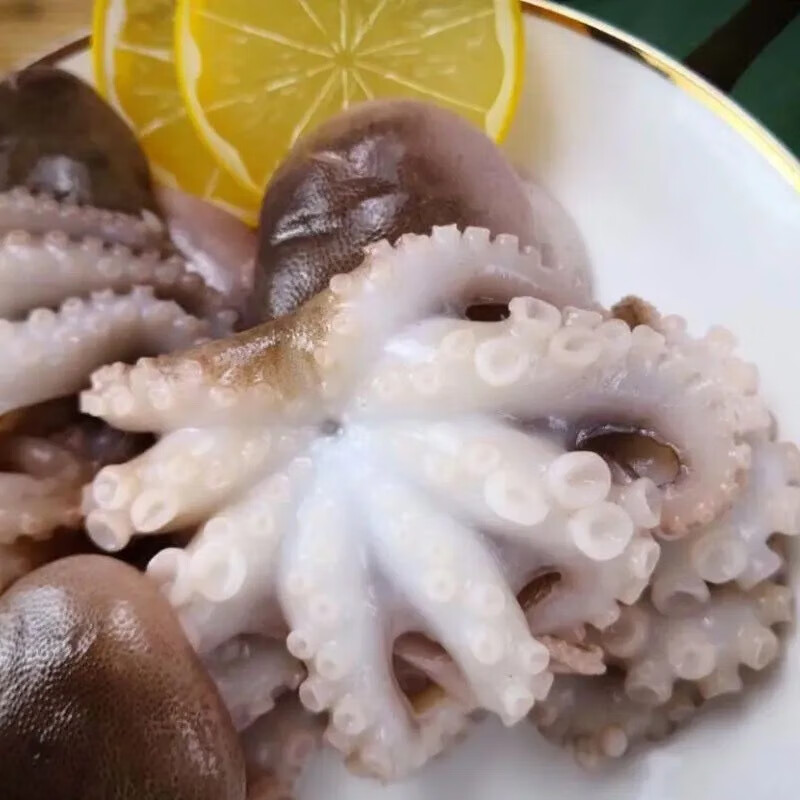 渔水肴海鲜八爪鱼海鲜盐搓小章鱼海鲜小八爪鱼章鱼爆头食材 2斤