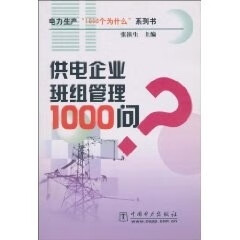 供电企业班组管理1000问 张滨生【正版书】