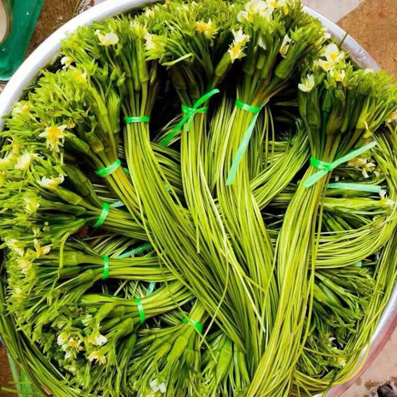 教蔬鲜生水性杨花 云南特产 海菜花 泸沽湖丽江海菜云南野菜 大理特产