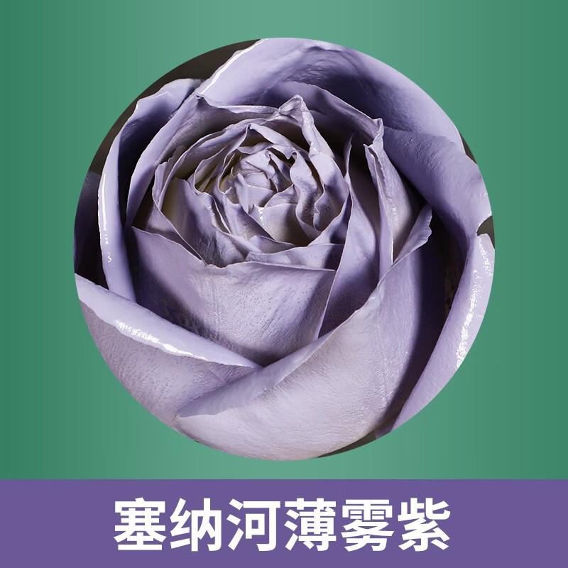 星凯奇鲜花喷漆粉色碎冰蓝玫瑰花黑色干花染色剂吸染喷雾花艺专用喷色