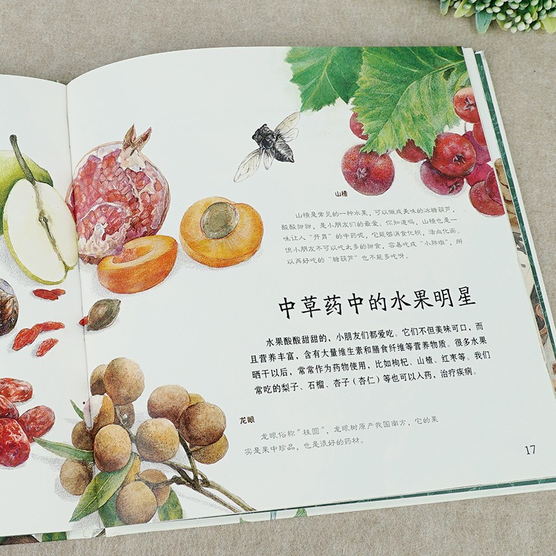 噢中草药(精)/家门外的自然课系列暑假阅读暑假课外书课外暑假自主阅读暑期假期读物