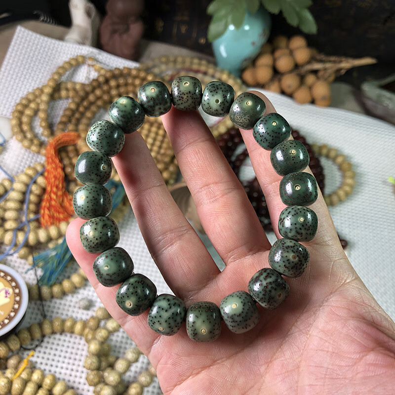 菩提京东史低|菩提价格比较