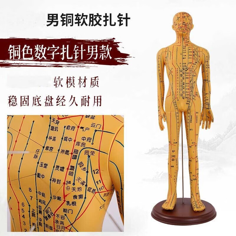 铜人经络中医用医学人体穴模具模特小 50cm男铜模-刻字-软胶款可扎针