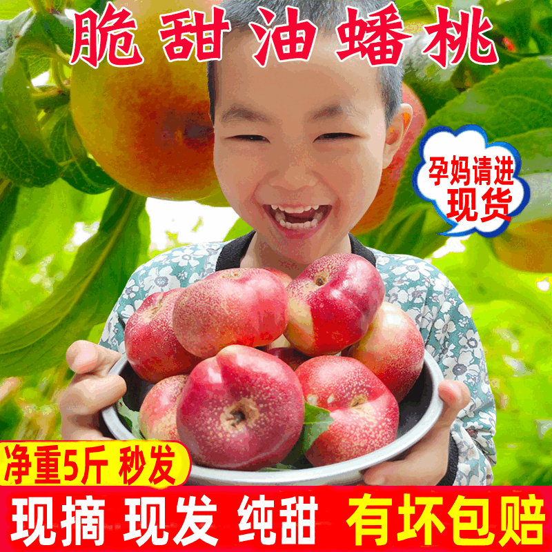 村乐惠2026顺丰现货纽扣油蟠桃新鲜孕妇水果陕西奶油纯甜脆软无毛扁潘红 5斤 纯甜顺丰[一斤9个左右具体称重】 京东折扣/优惠券