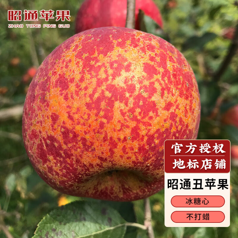 云南天沐 昭通苹果 云南昭通野生丑苹果5斤（85mm左右） 冰糖心稀有水果礼盒整箱